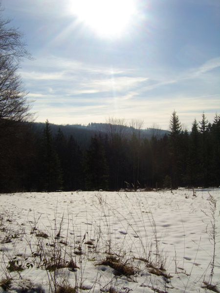 dol Devnice