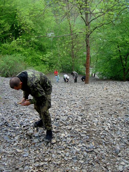 Velk Torr ptr po trilobitech pana Barranda z Barrandienu